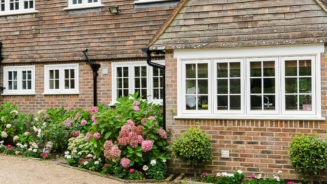 Evolution Flush casement windows in White Wood. Three windows with hydrangeas below